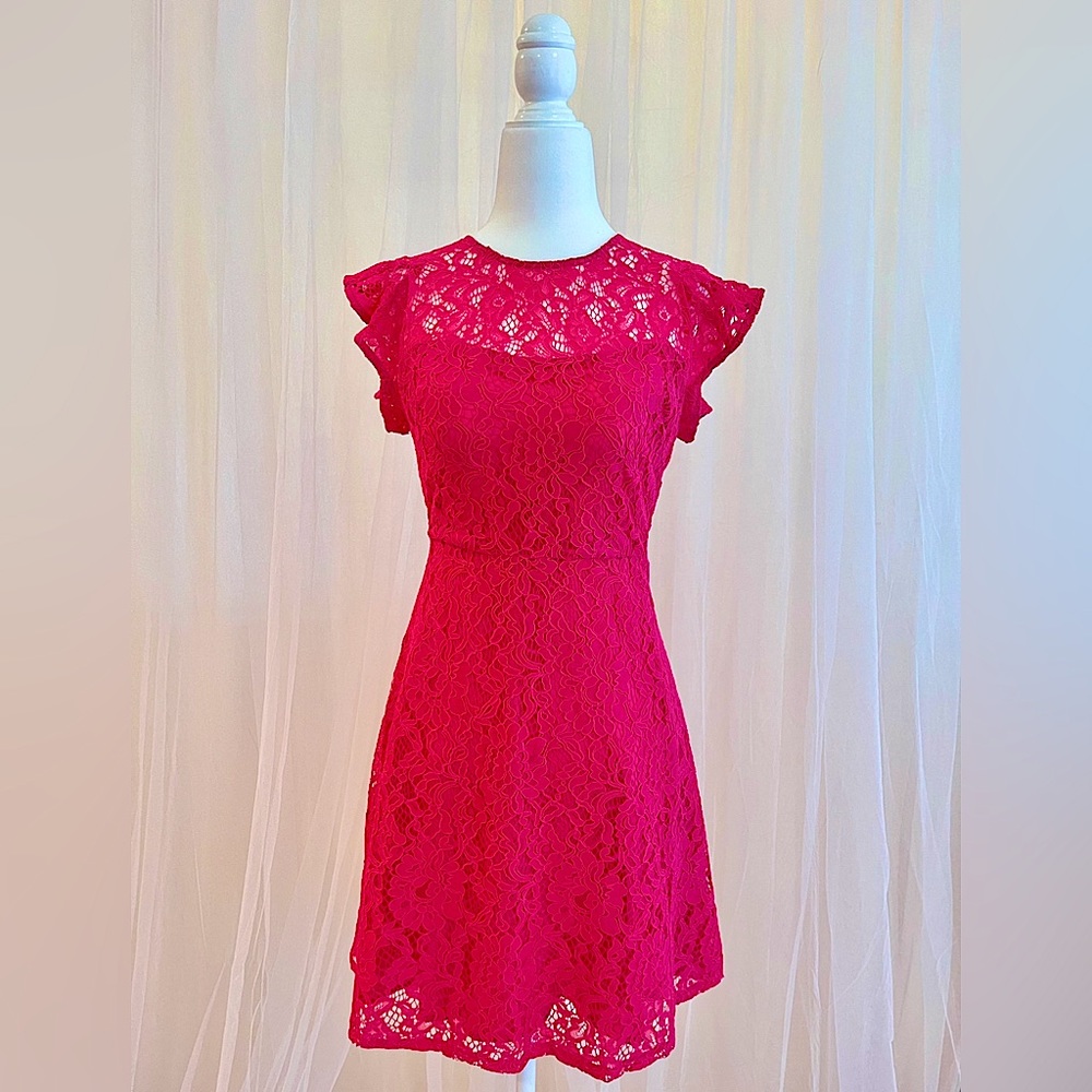 Lace Fit-n-Flare Eliza J Dress - 4 Petite, Pink